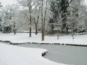 Nerotal-Winter_o