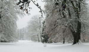 winterweite-nerotal2017jpg