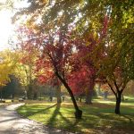 Kurpark im Herbst_o